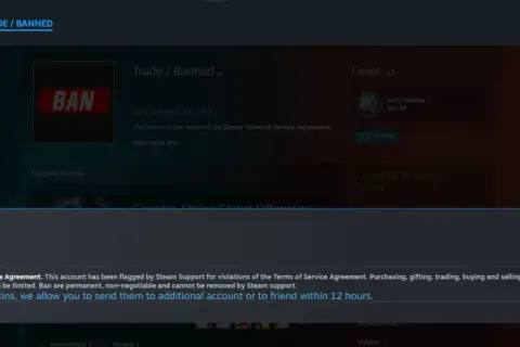 Jak sprawdzić powiązane konta Steam i uniknąć problemów z bezpieczeństwem